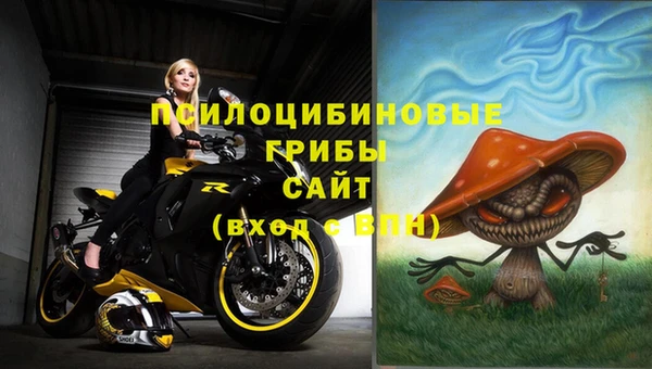 гидропоника Балабаново