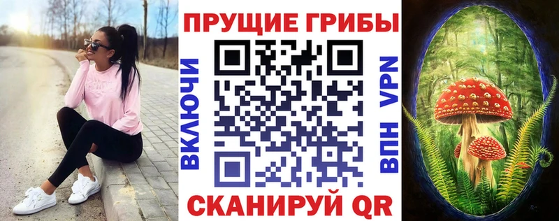 как найти наркотики  Бикин  Галлюциногенные грибы прущие грибы 
